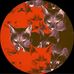 James Hunsberger - Facebook