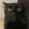 james.hunter - @james.huntrr - TikTok