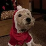James Hurst - @james.hurst.182 - Instagram
