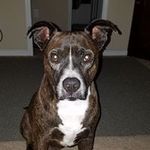 James Hyatt - @james.hyatt.7528 - Instagram