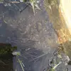 jameshyde - @jameshyde64 - TikTok