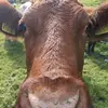 James Hynes - @james.hynes1 - TikTok
