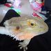 James Isakson - Facebook
