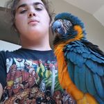 James Isham - @james_isham_jr - Instagram
