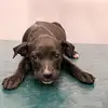 James - @james.isham - TikTok