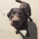 James - @jamesjansen_ - Instagram