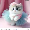 James jan - @nimekhan43 - TikTok