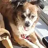 James Jarrell - @james.jarrell3 - TikTok
