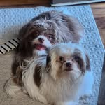 James Jay Ocholik - @jamesjayocholik - Instagram