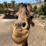 James Jeavons - @theaandkitsdad - Instagram