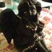 James Jeffcoat - Facebook