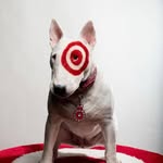 James Jelley - @iamnotgoingtoeverytarget - Instagram