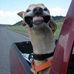 James Jenkins - Facebook
