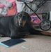 James Judkins - Facebook
