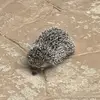 james.Junior2 - @james.junior2 - TikTok