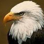 james c jurkiewicz - @jamescjurkiewicz - Instagram