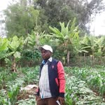 James Kamande - @james.kamande.528 - Instagram