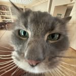 Gavin James Riley Karsten - @fiddlepicked - Instagram