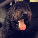 jackson james kearley - @jacksonkearleythedoodle - Instagram