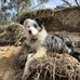 James Kearley - Facebook