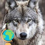 James Keefer - @james.keefer - Instagram