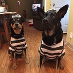 James Keeler - @king_jimmy99 - Instagram