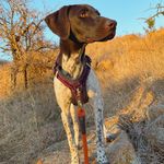 James Keeler - @mountainadk - Instagram