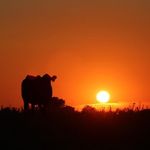 James Keeler - @james.keeler.75 - Instagram