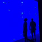 James Kelton - @jameswkelton - Instagram