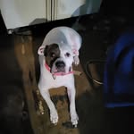 JamesKempfer - @jameskempfer - Instagram