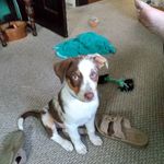 James Ketcher - @bear.paw333 - Instagram