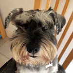 James Kettle - @jameskettle5 - Instagram