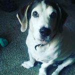 James Kiely - @james.kiely.334 - Instagram