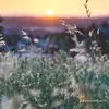 Jameskier - @jameskier3 - TikTok