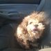 James R Killebrew Killebrew - Facebook