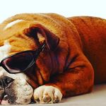 James Lee Kindig - @swag_money_james - Instagram