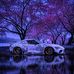 James King - Facebook