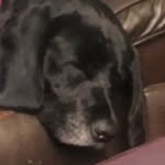 James Kingdon - @kingdon9096 - Instagram