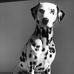 James Kirchhofer - Facebook