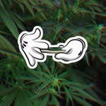 James Kiser - @james.kiser.315213 - Instagram
