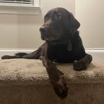 James Kissinger - @jim.kissinger - Instagram