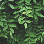 James Kistner - @james_kistner123 - Instagram