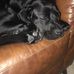 James Kitson - Facebook