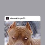 Jimmy Kittinger - Facebook