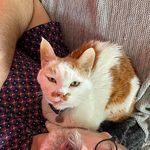 James Knaack - @jamesknaack - Instagram
