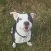 james knights - @james.knights8 - TikTok