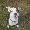 james knights - @james.knights8 - TikTok