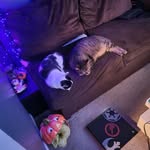 James Knoebel - @james.knoebel.5 - Instagram