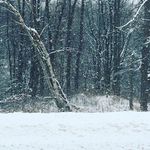 Jameskoontz - @jkoontz75 - Instagram