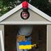 James Kopf - Facebook